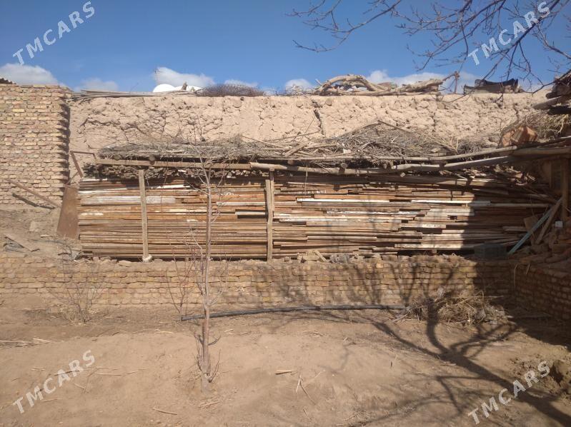 oy goslary - Görogly (Tagta) - img 1