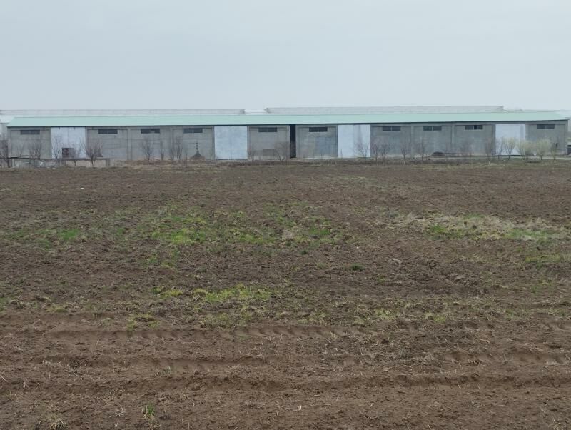 Sklad Ammar arenda - Анев - img 1