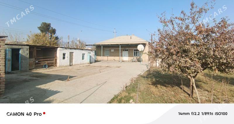 gyssagly 8-sotyk - Бахарден - img 1