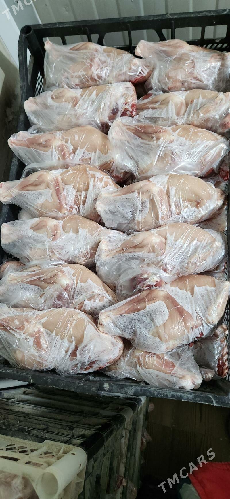 juje жуже - Gökdepe - img 1