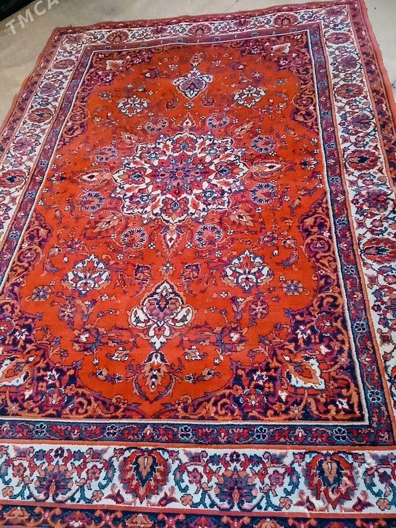 Haly - Гороглы (Тагта) - img 1