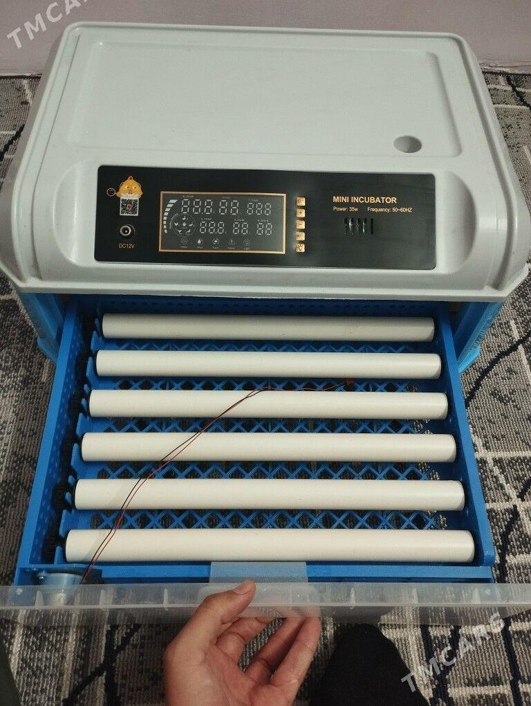 inkubator - Balkanabat - img 1