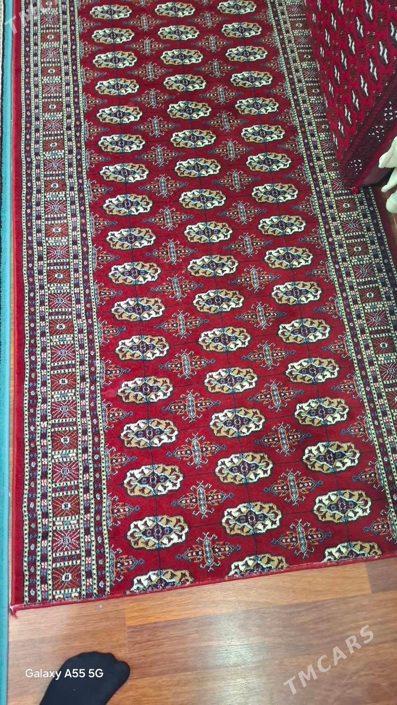 haly - Aşgabat - img 1