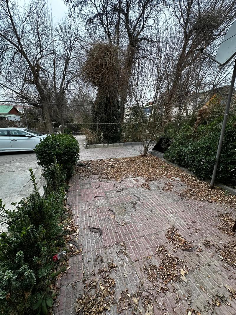 Sbaboda koc 1 mkrn beyik pata - Aşgabat - img 1