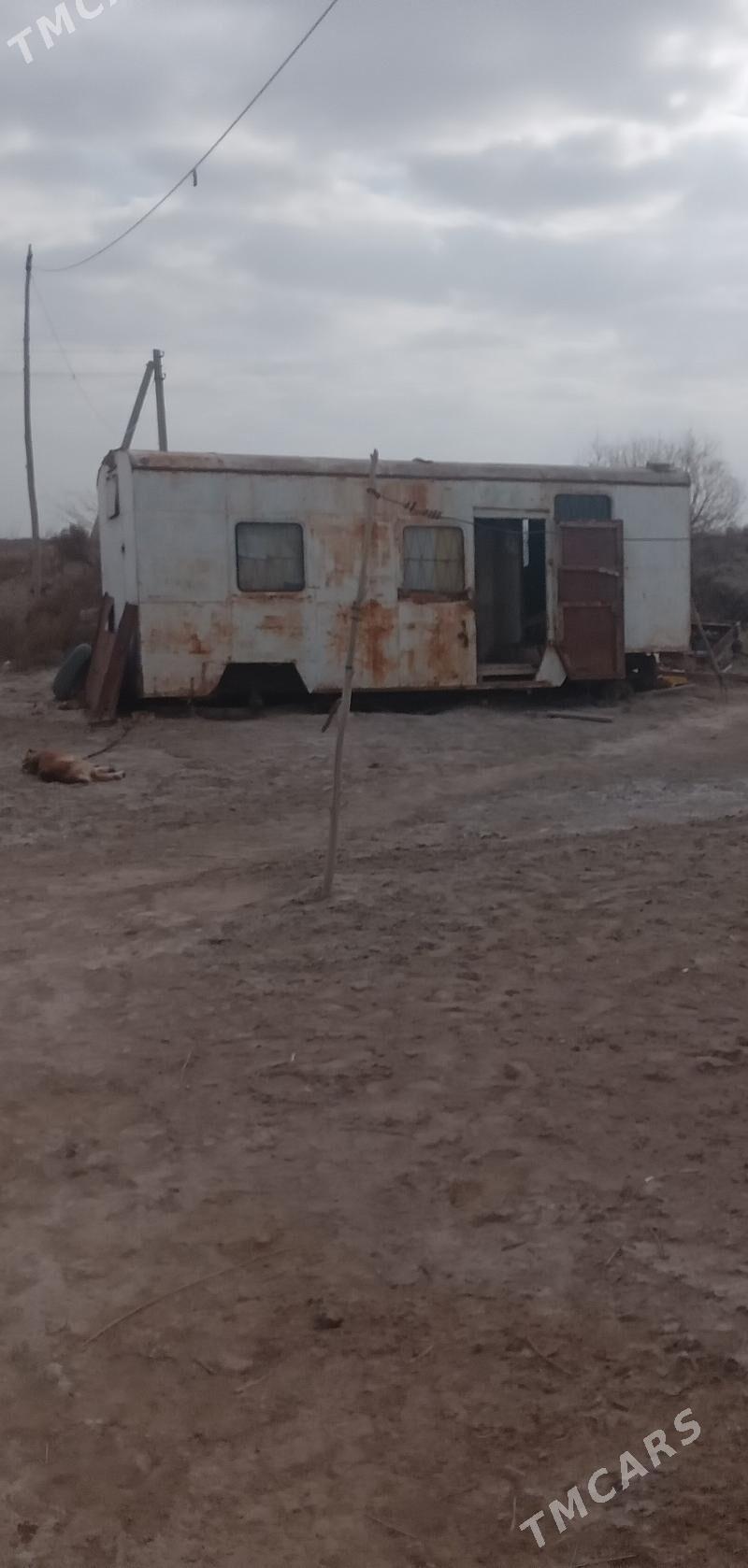 satlyk butga - Ruhubelent etraby - img 1