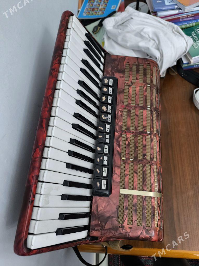 Akkordion - Анев - img 1
