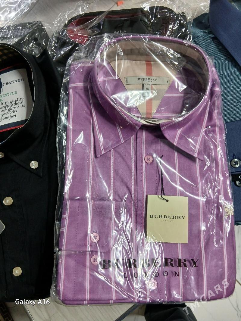 эркек койнек аргинал - Daşoguz - img 1