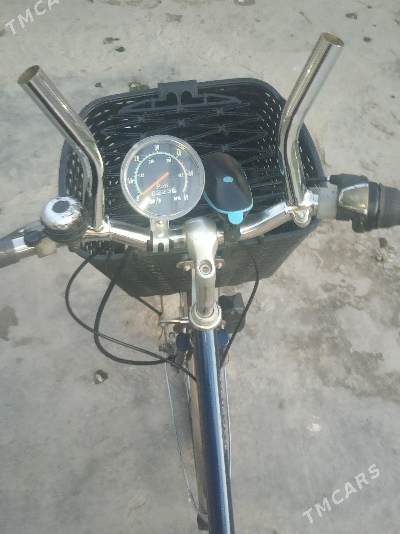 Welsepet 26 - Sarahs - img 1