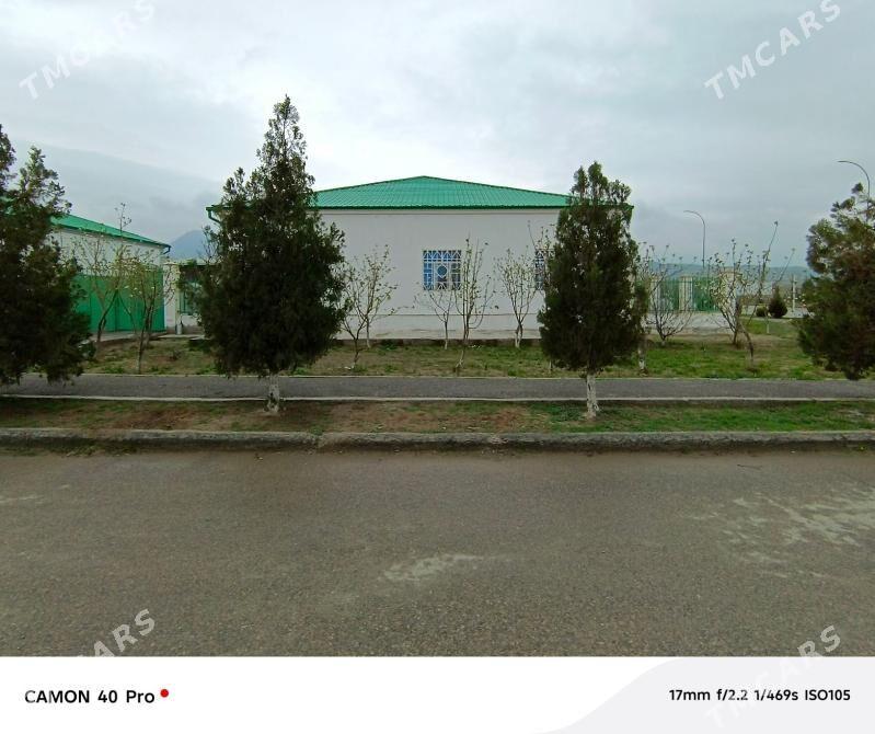 Bereketli zaman - Ак-Бугдайский этрап - img 1