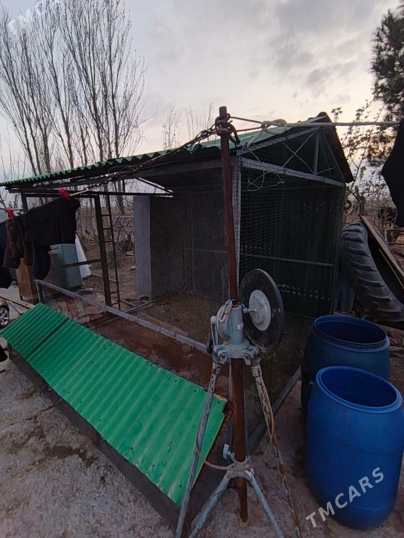 Towuk ketek - Änew - img 1