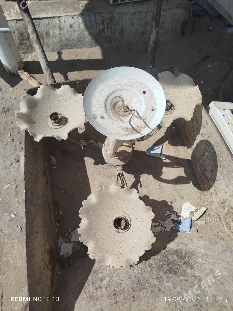 lusdyra - Gumdag - img 1