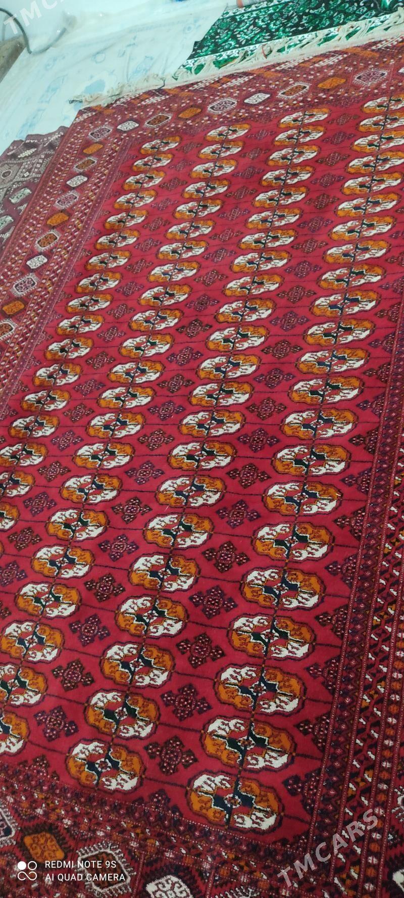 6 lyk el haly - Bäherden - img 1