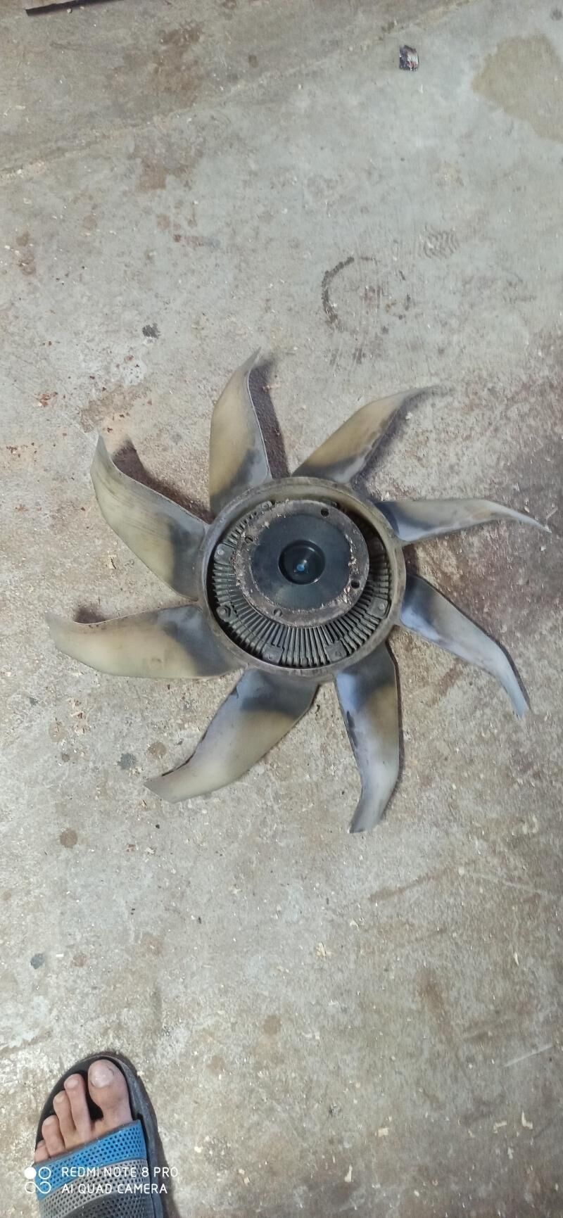 Peri canter 500 TMT - Mary - img 1