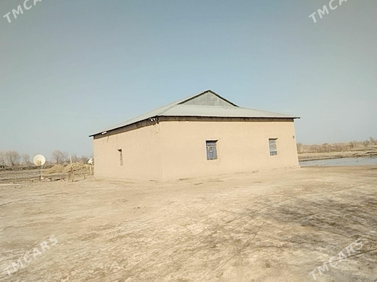 jay - Köneürgenç - img 1