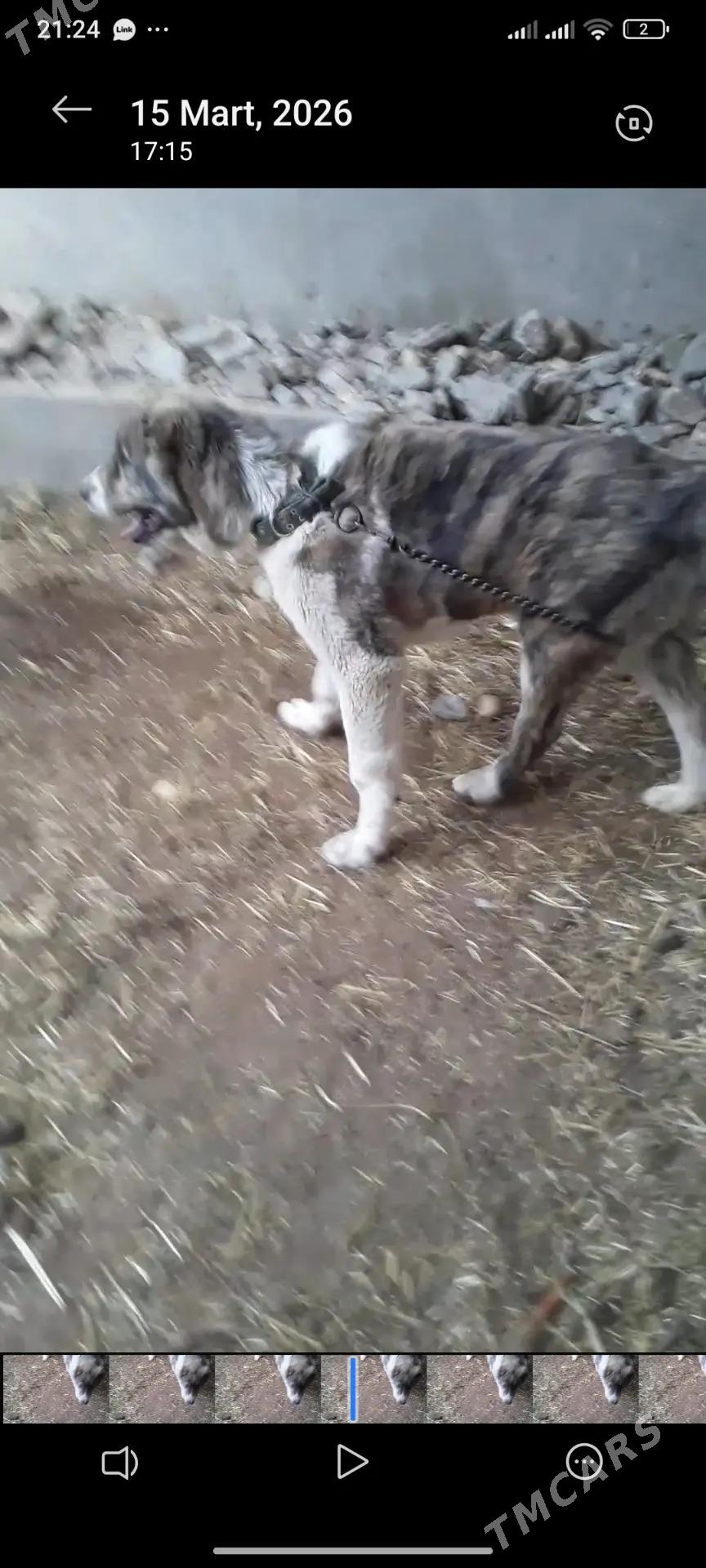 TKM Alabay - Türkmenabat - img 1