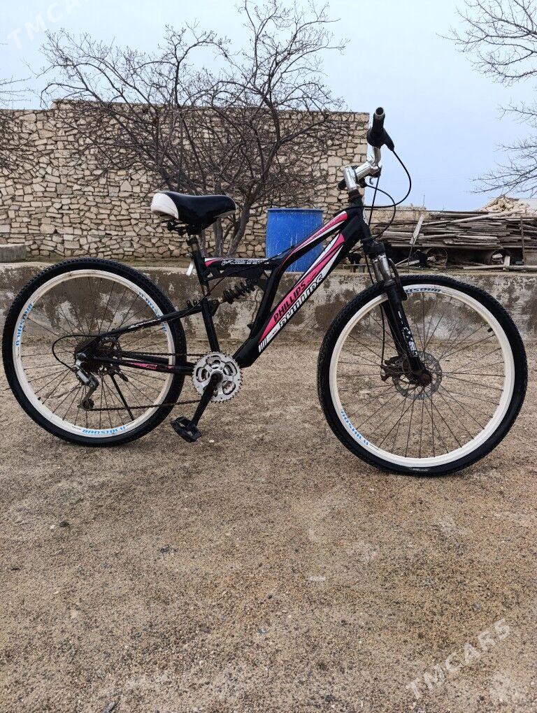 welesoped - Туркменбаши - img 1