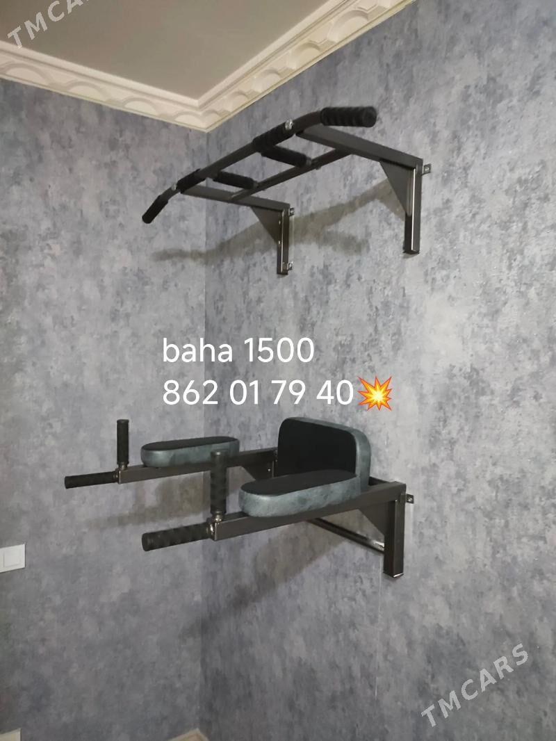 turnik - Bagyr - img 1