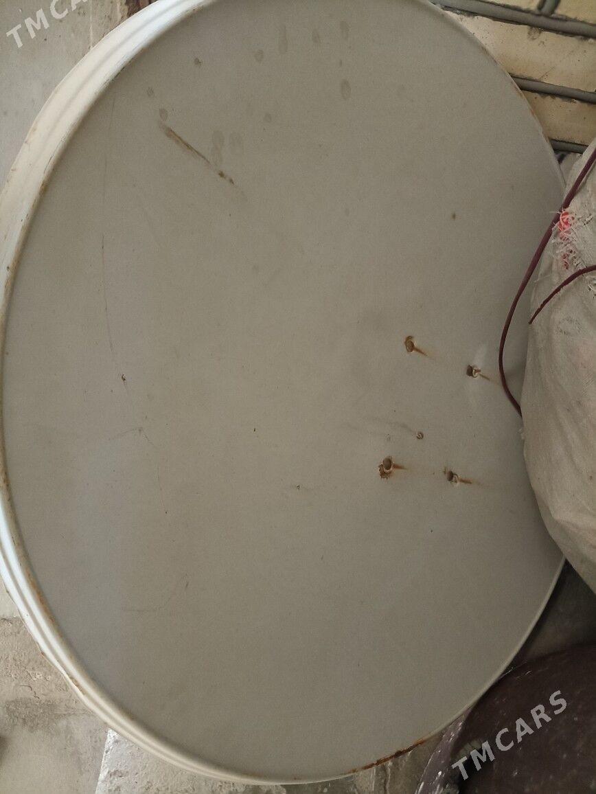 Antena kici - Mary - img 1