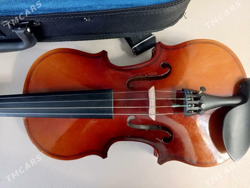 Skripka/Скрипка - Ашхабад - img 1