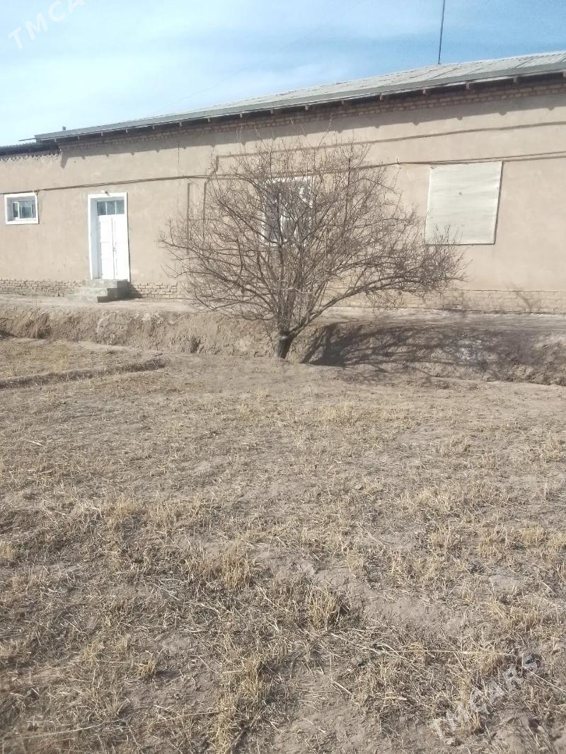 Satlyk jay - Гурбансолтан Едже - img 1