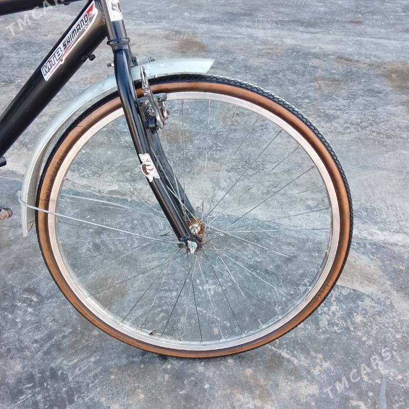 26lyk welik - Мары - img 1