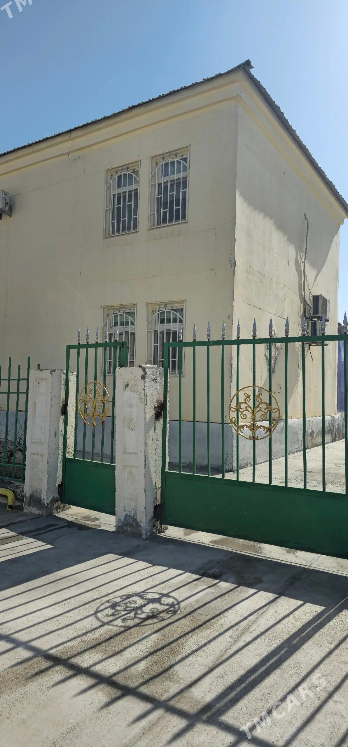 Gos Kateş - Çoganly - img 1