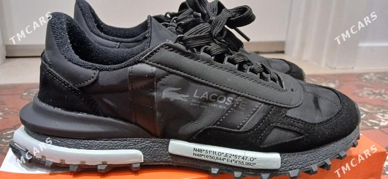 Locoste krasowka - Ашхабад - img 1