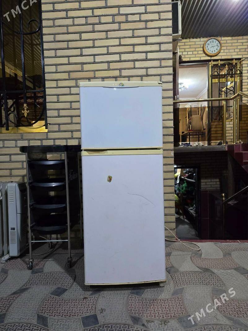 Holodilnik - Mary - img 1