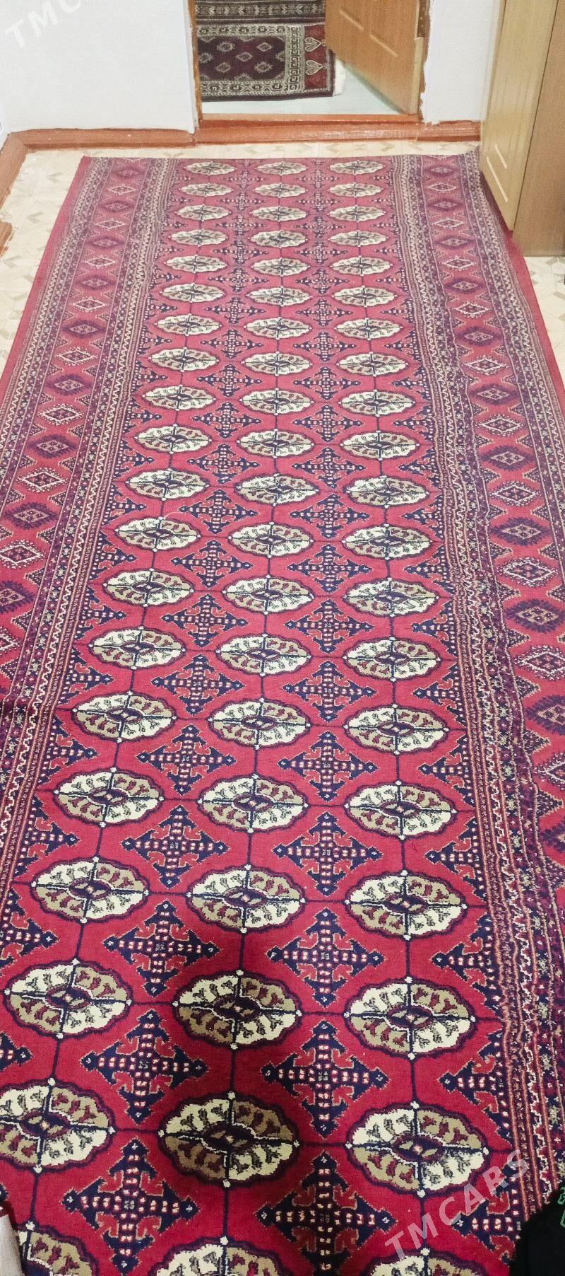 Haly - Балканабат - img 1