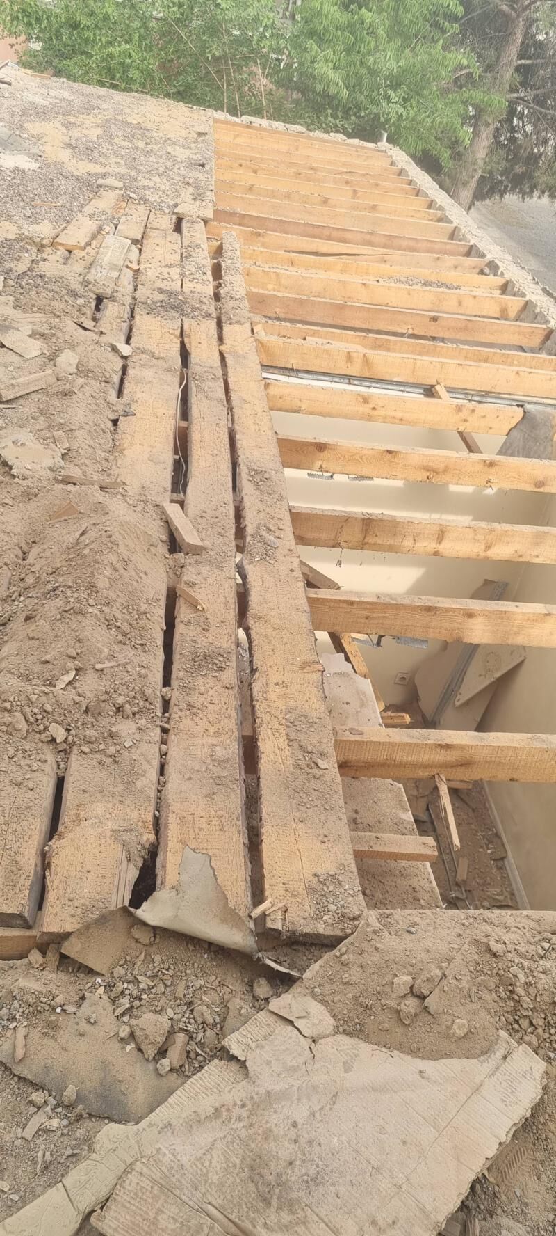 POLLUK AGAC ALYAS - Aşgabat - img 1