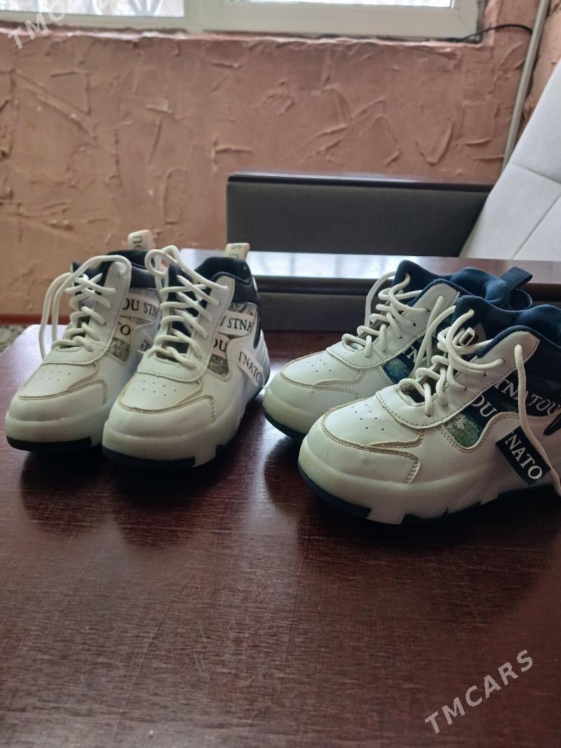 сатлык красофка ролик - Ашхабад - img 1