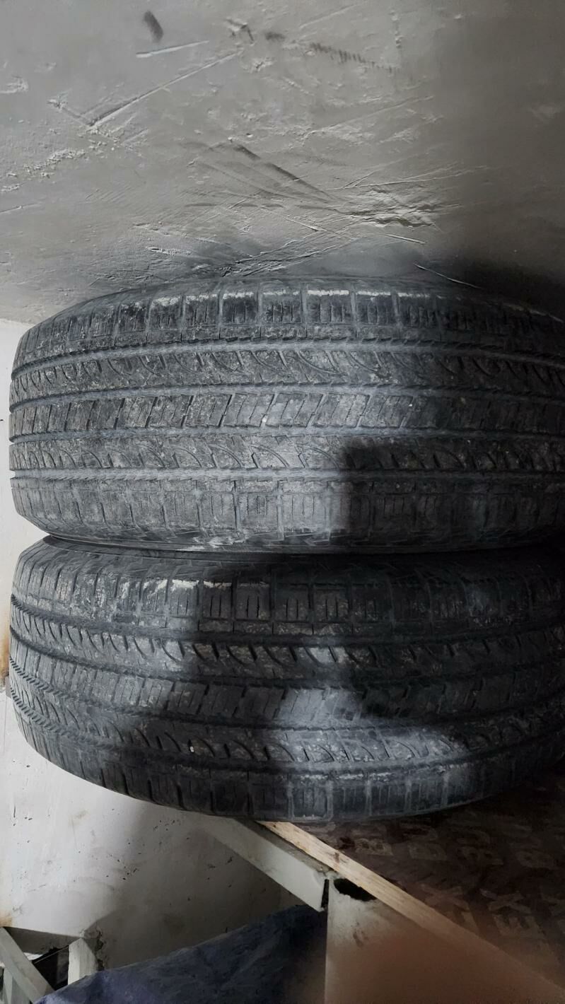 pakrişka 600 TMT - Гаудан "Б" - img 1