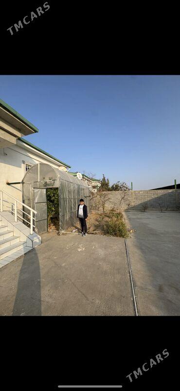 Taze zaman 2tapgyr 4komnat - Täze zaman - img 1