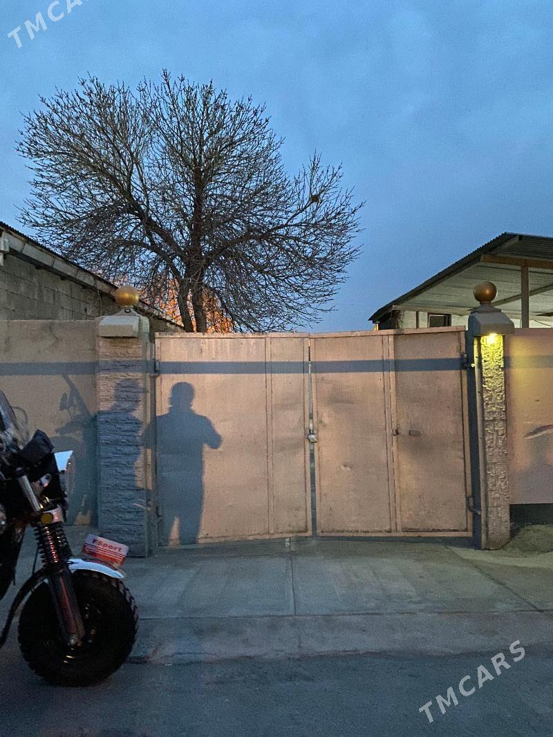 Gokdepe sentir - Gökdepe - img 1