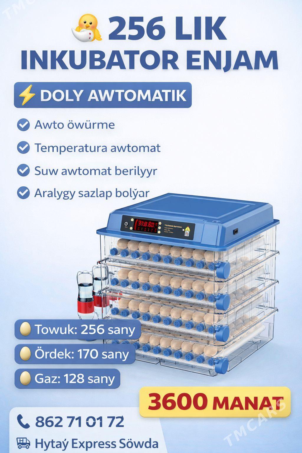 Inkubator - Parahat 7 - img 1