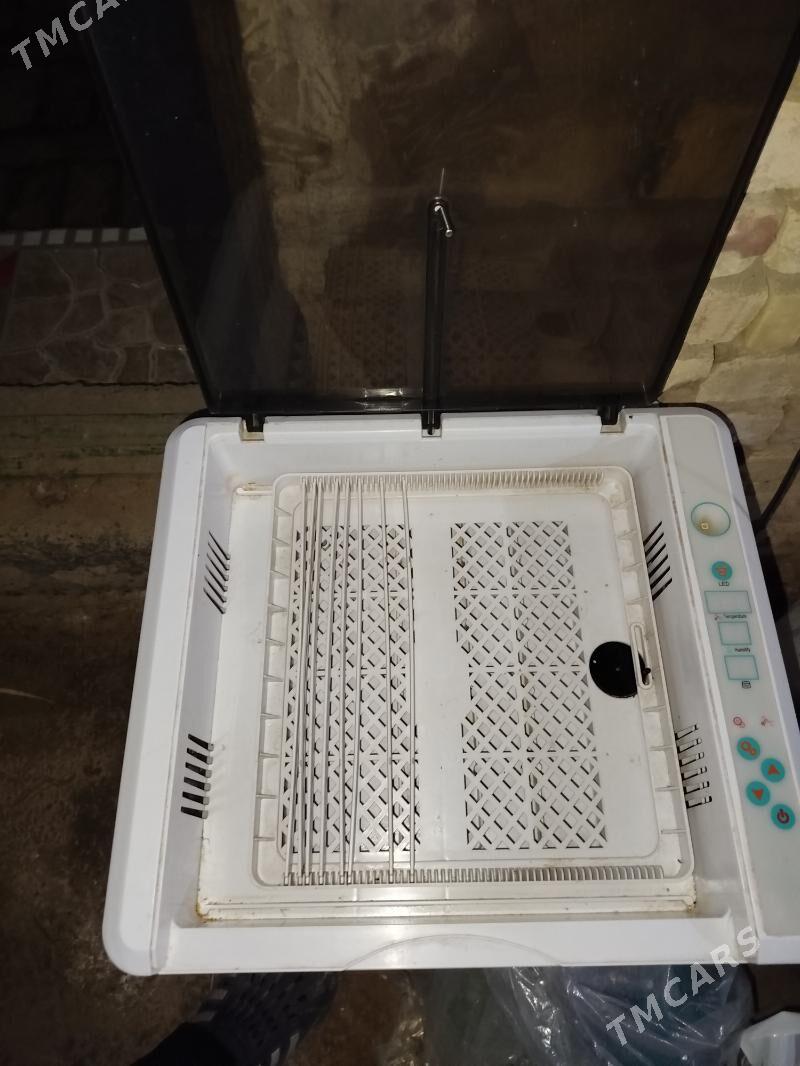 инкубатор - Мары - img 1