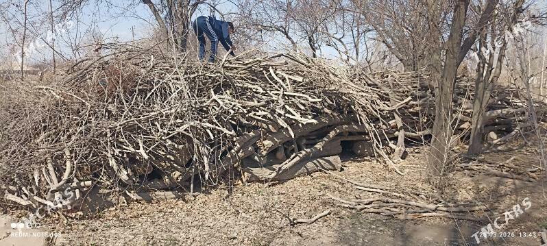 ODUN ŞAŞLIK UCIN - Дашогуз - img 1