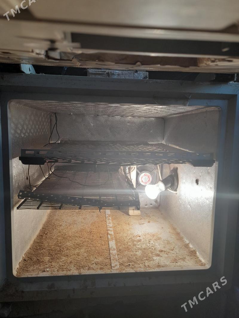 enkubator - Ашхабад - img 1