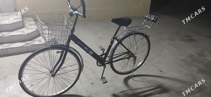 T I G I R. YAPOSKA...... - Büzmeýin GRES - img 1