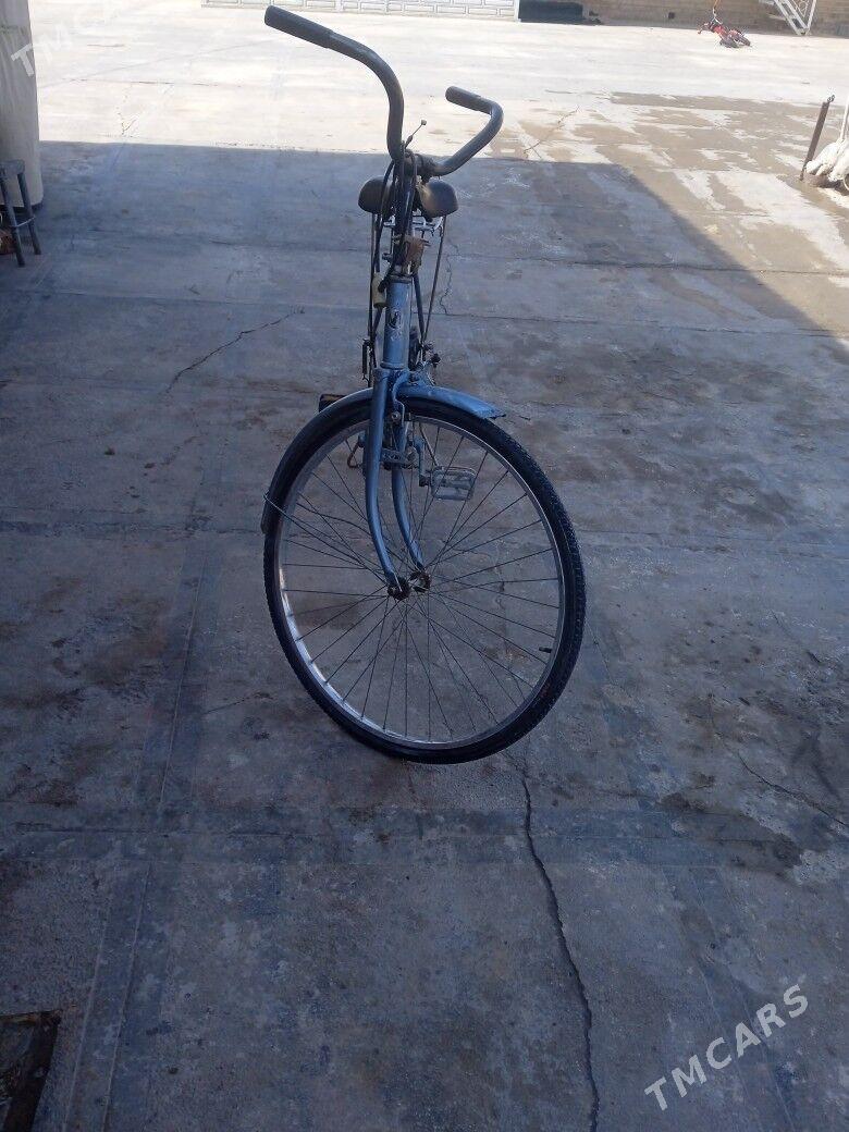 welsepid 26 - Mary - img 1