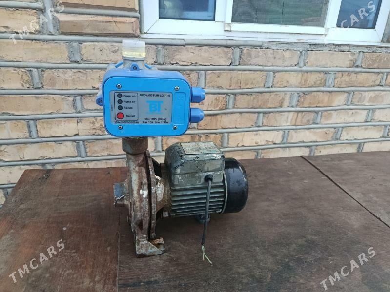 Shimga 130 nasos suw - Mary - img 1