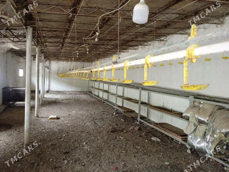 товык ве жуже учин капилар сув - Туркменабат - img 1