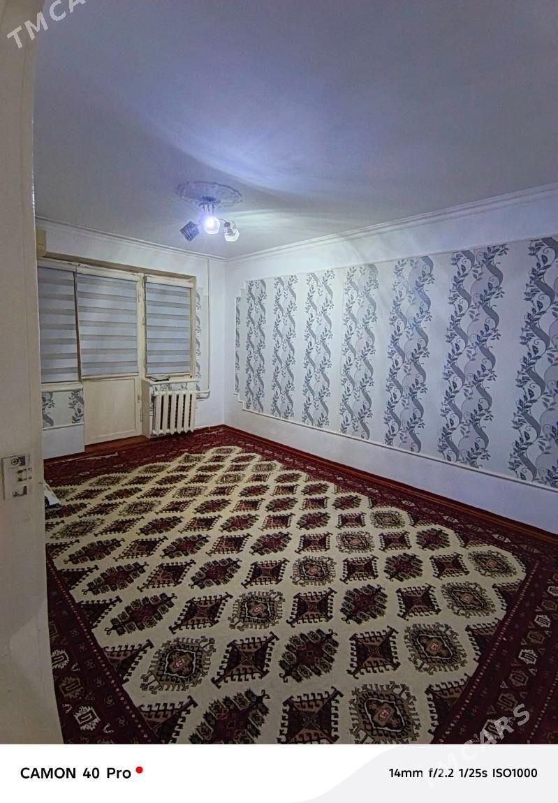 Satlyk jay - Mary - img 1