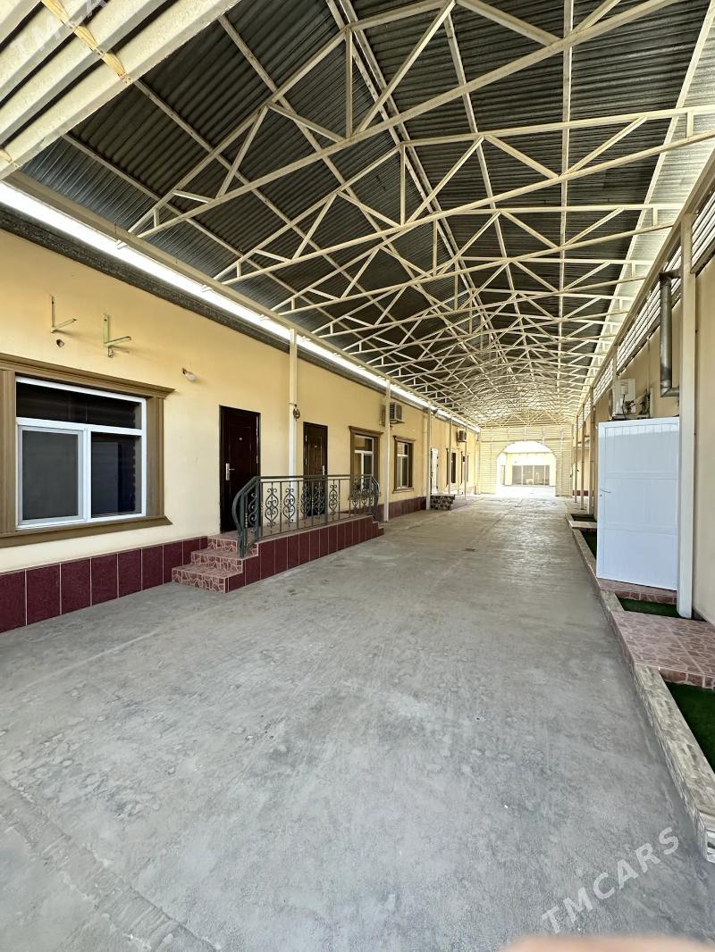 Satlyk howly - Мары - img 1