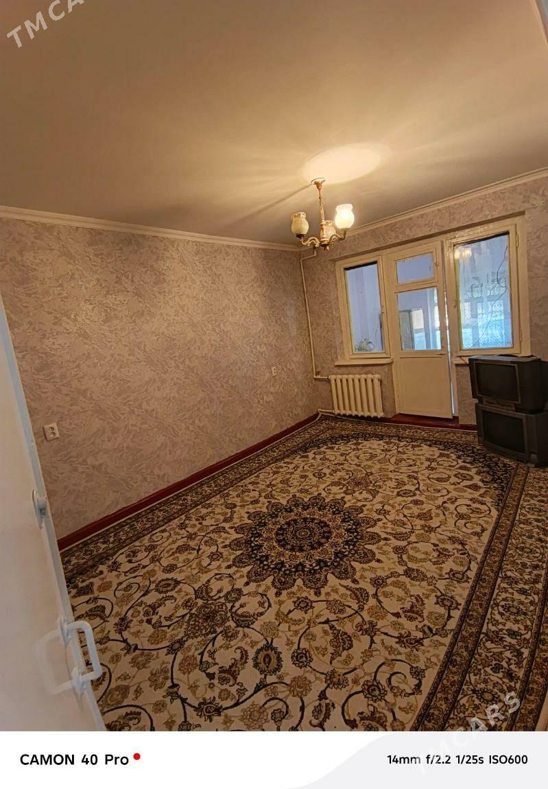 Satlyk jay - Mary - img 1