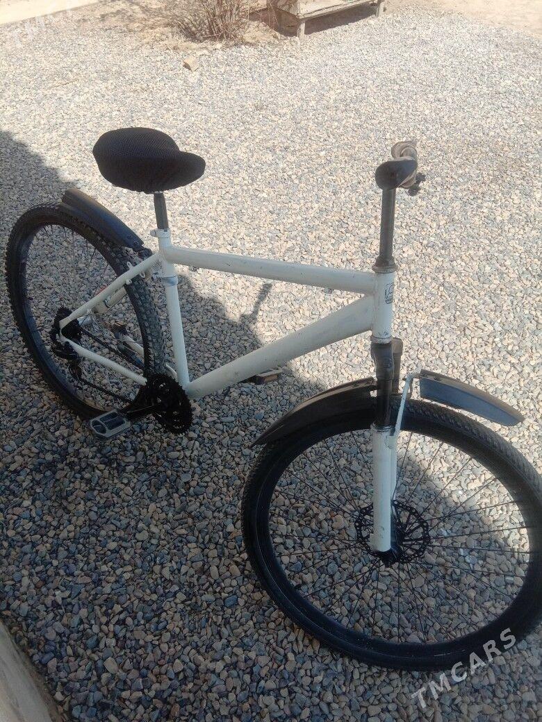 welsepid - Murgap - img 1