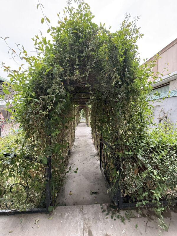 Дом Район Ботанического Сада - Ашхабад - img 1