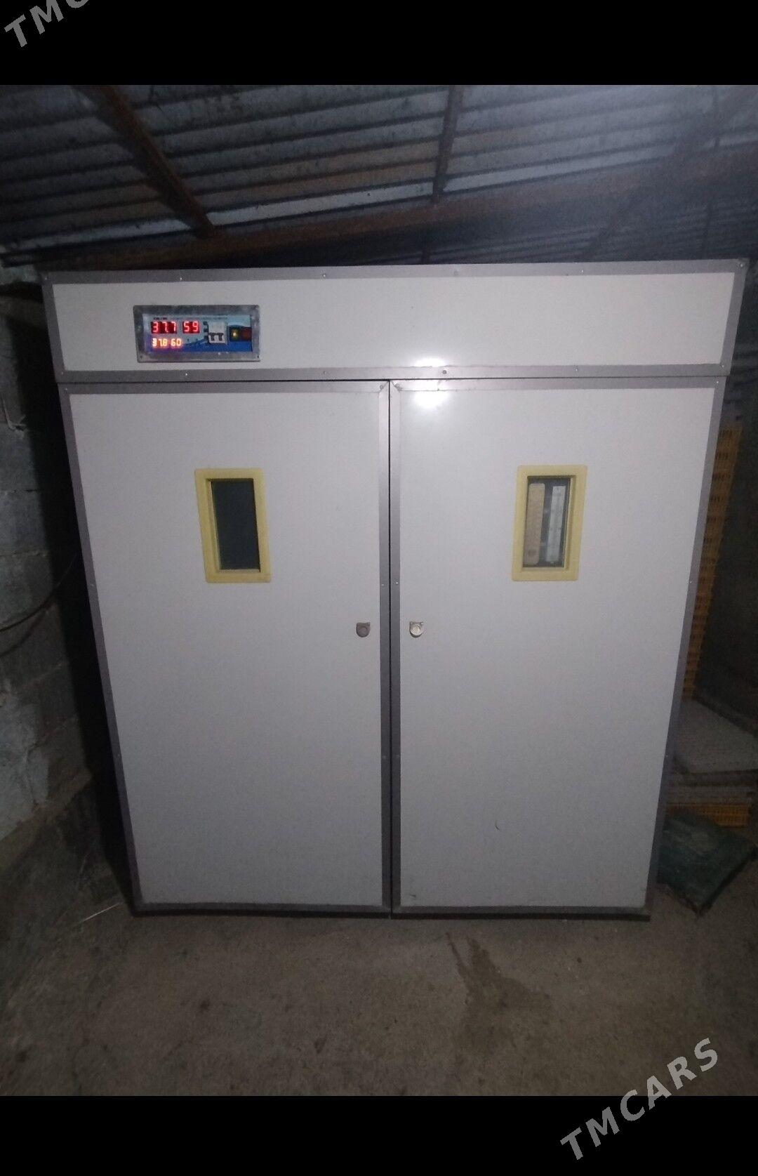 inkubator bejermek - Herrikgala - img 1