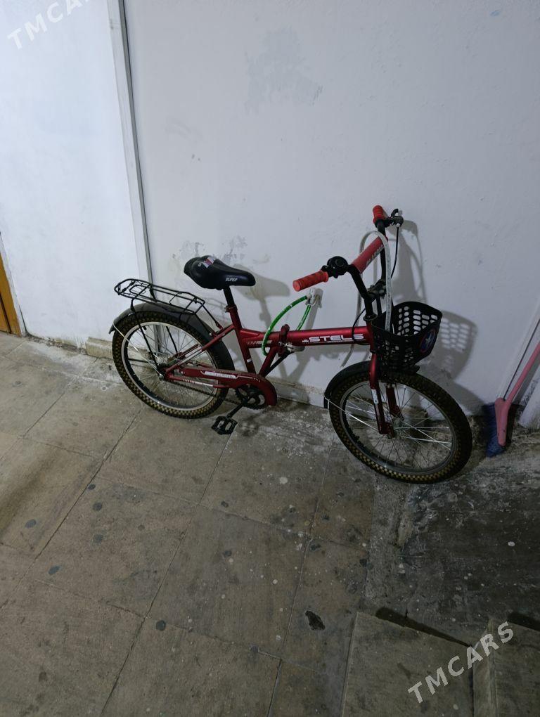 Tigir kama - Dosaaf - img 1