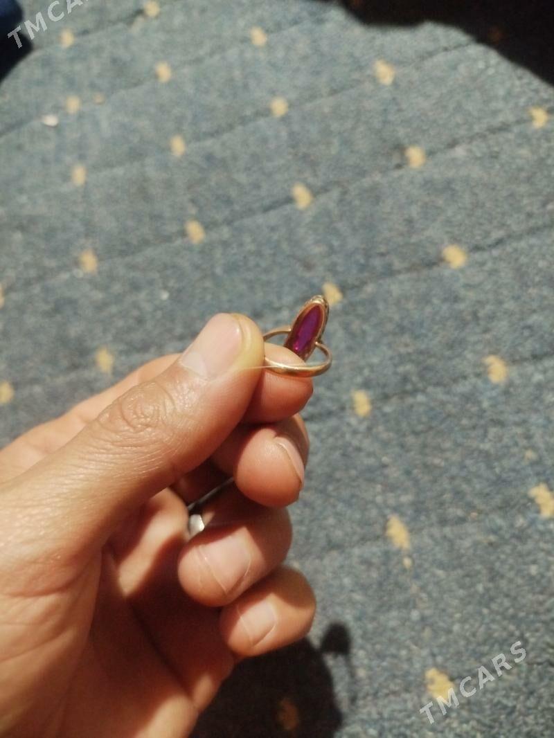 Gyzyl satlyk - Ак-Бугдайский этрап - img 1